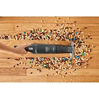 BLACK+DECKER dustbuster® AdvancedClean™ 12V MAX* Slim Cordless Handheld Vacuum Cleaner, HLVC320J01