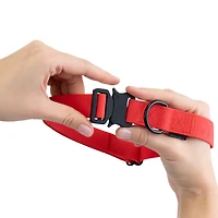 One Paw, Silicone Dog Collar with Metal Buckle, Water Repellent, Multiple Sizes