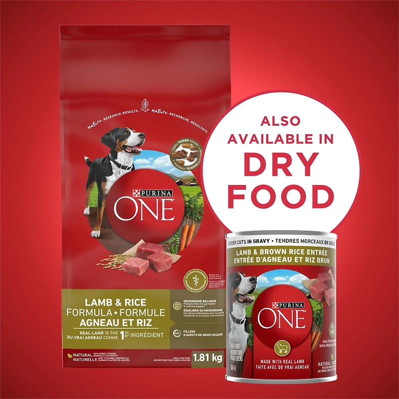 Purina ONE Tender Cuts in Gravy Lamb & Brown Rice Entrée, Wet Dog Food 368 g