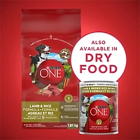 Purina ONE Tender Cuts in Gravy Lamb & Brown Rice Entrée, Wet Dog Food 368 g