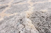 ECARPET Trellis Frieze Area Rug Fluffy Carpet for Bedroom