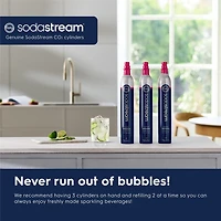 Cylindre de Gaz Carbonique de 60 L de SodaStream, paq. 2