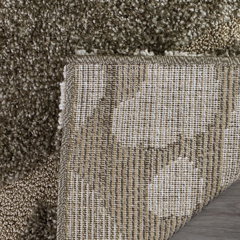 SAFAVIEH Florida Davin Floral Shag Area Rug
