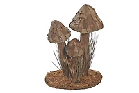 Tree Bark Mushroom Brown