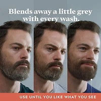Just For Men Control GX Grey Reducing Beard Wash