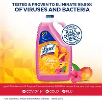 Lysol® Multi-Surface Cleaner, Pourable Disinfecting All-Purpose Cleaner for Floor & Hard Surfaces, Cuts Grease & Grime, Brand New Day ™ Mango & Hibiscus, 4.26 L