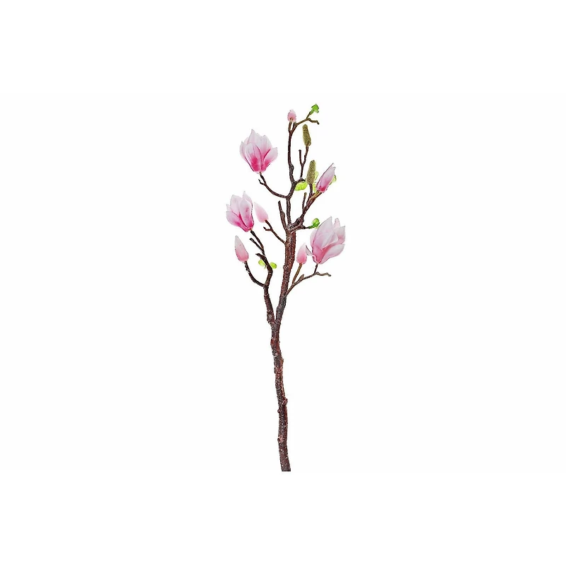 Magnolia Grand Rose En Rose