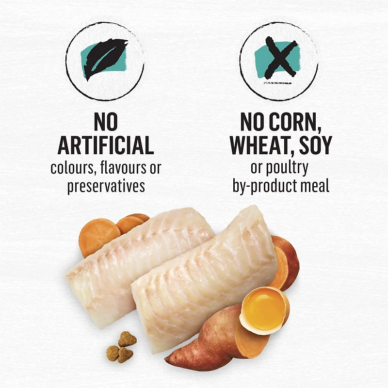 Beyond Grain Free Wild-Caught Whitefish & Free Run Egg Recipe, Dry Cat Food 1.36kg