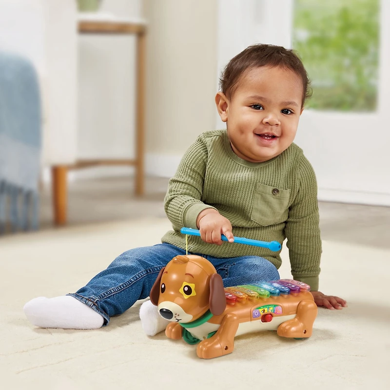 VTech Zoo Jamz Doggy Xylophone - Infant Musical Toy French Version