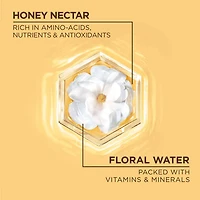 Garnier Whole Blends Honey Water Moisture Restoring Conditioner, for Dry Hair & Scalp