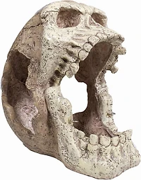 Penn Plax Reptology Skull Hide-Away Combo Extra Large