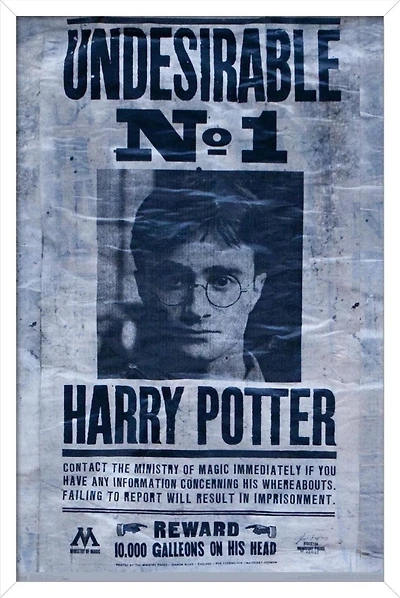 The Wizarding World: Harry Potter - Undesirable Wall Poster