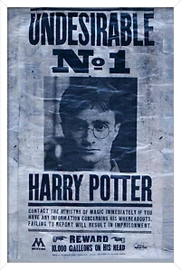 The Wizarding World: Harry Potter - Undesirable Wall Poster