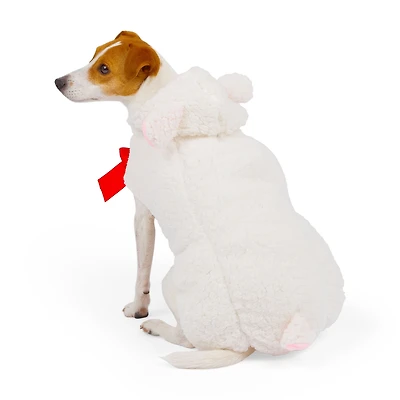 One Paw, Lamb Dog Costume, Halloween