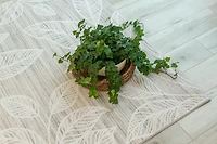 Rug Branch Modern Floral Indoor Area