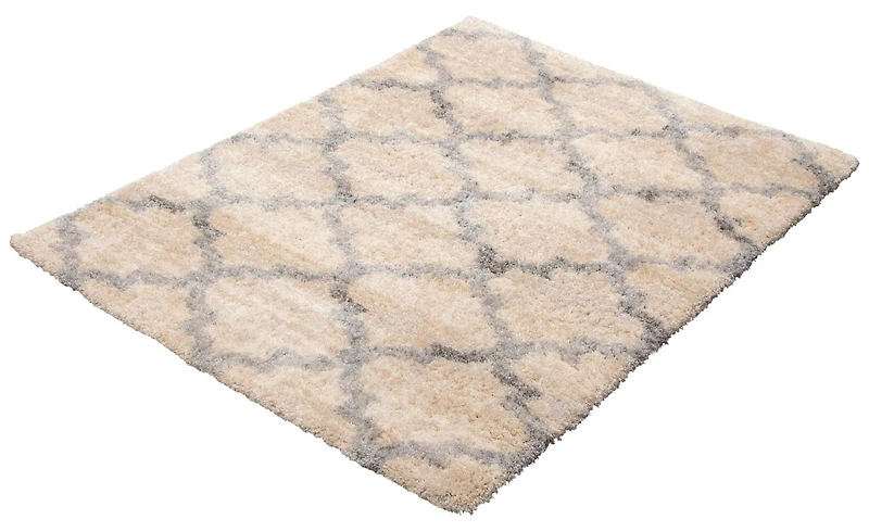 ECARPET Trellis Frieze Area Rug Fluffy Carpet for Bedroom