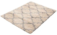 ECARPET Trellis Frieze Area Rug Fluffy Carpet for Bedroom