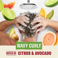 Old Spice Wavy Curly Shampoo with Aloe & Avocado Oil