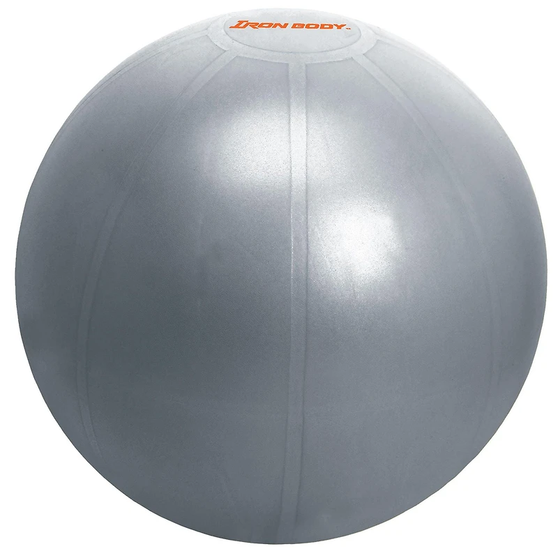 IBF Iron Body Fitness Pro Series Exercise Ball with Pump, Anti-Burst Stability Ball