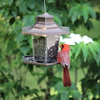 Mangeoire pour oiseaux Petite Lanterne