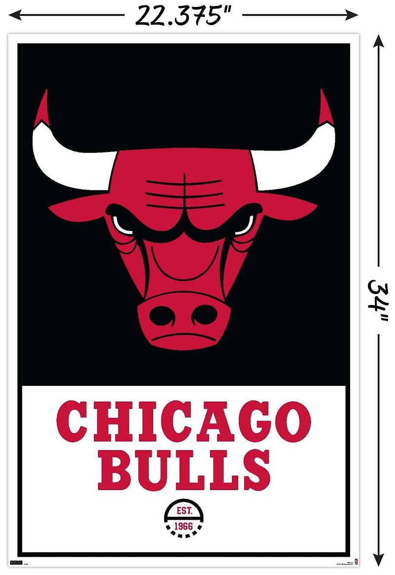 NBA Chicago Bulls - Logo 21 Wall Poster