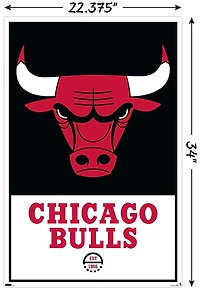 NBA Chicago Bulls - Logo 21 Wall Poster
