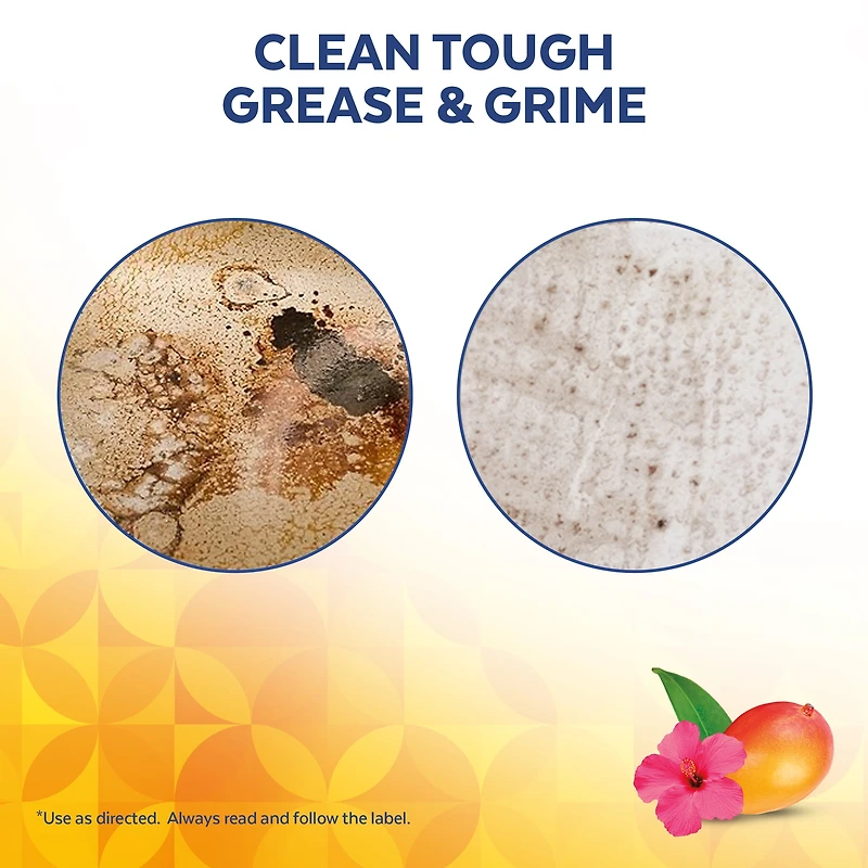 Lysol® Multi-Surface Cleaner, Pourable Disinfecting All-Purpose Cleaner for Floor & Hard Surfaces, Cuts Grease & Grime, Brand New Day ™ Mango & Hibiscus, 4.26 L