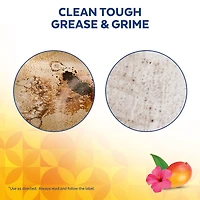 Lysol® Multi-Surface Cleaner, Pourable Disinfecting All-Purpose Cleaner for Floor & Hard Surfaces, Cuts Grease & Grime, Brand New Day ™ Mango & Hibiscus, 4.26 L