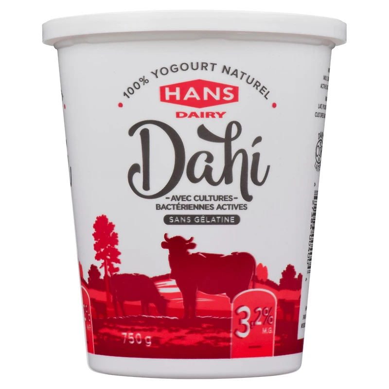 Hans Dairy Dahi 3.2% M.F. Natural Yogurt