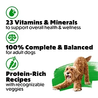 Beneful Prepared Meals Savoury Rice & Lamb Stew, Wet Dog Food 283 g