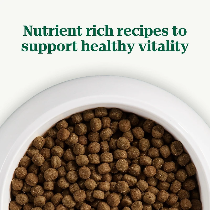 Nutro Natural Choice Small Bites Lamb & Brown Rice Recipe Adult Dry Dog Food 10kg