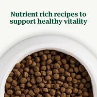 Nutro Natural Choice Small Bites Lamb & Brown Rice Recipe Adult Dry Dog Food 10kg