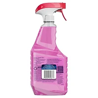 Windex Multi Surface Nettoyant Lavande, Parfait pour les comptoirs, les salles de bain et bien plus, 765 mL
