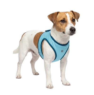 One Paw, Cooling Dog Vest, Lightweight, Refreshing, Blue, Perfect for Summer, for Dogs