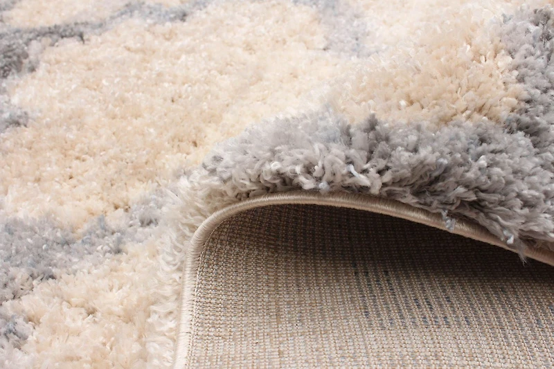 ECARPET Trellis Frieze Area Rug Fluffy Carpet for Bedroom