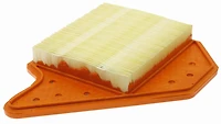 Filtre à air CA11050 Extra GuardMD de FRAM(MD)