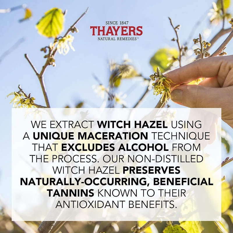 THAYERS Tonique Visage Non Parfumé Pétale de Rose Sans alcool formule à l'hamamélis et à l'aloès Format voyage 89ml