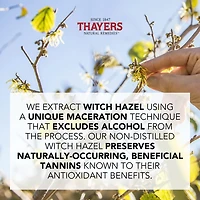 THAYERS Tonique Visage Non Parfumé Pétale de Rose Sans alcool formule à l'hamamélis et à l'aloès Format voyage 89ml