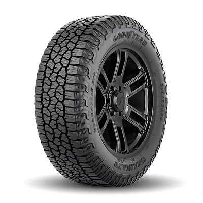 Goodyear Wrangler Workhorse AT2 245/75R17 112T BSW pneu