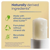 NIVEA Vanilla Buttercream Lip Balm, 24hr hydration, Enriched with shea butter & natural oils, vanilla scent, (2 x 4.8g)