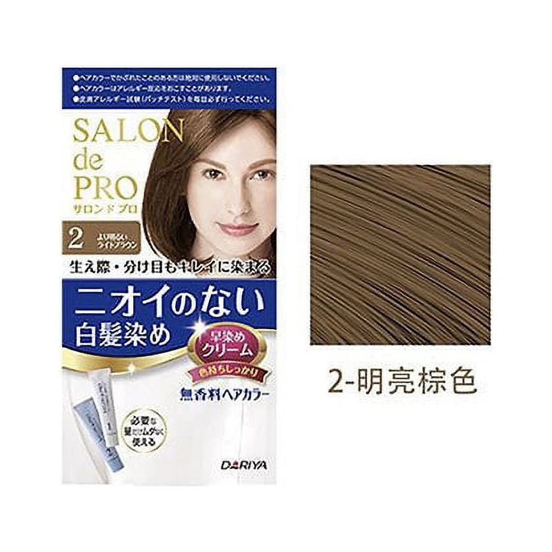 Dariya Salon de Pro Non Smell Hair Colour