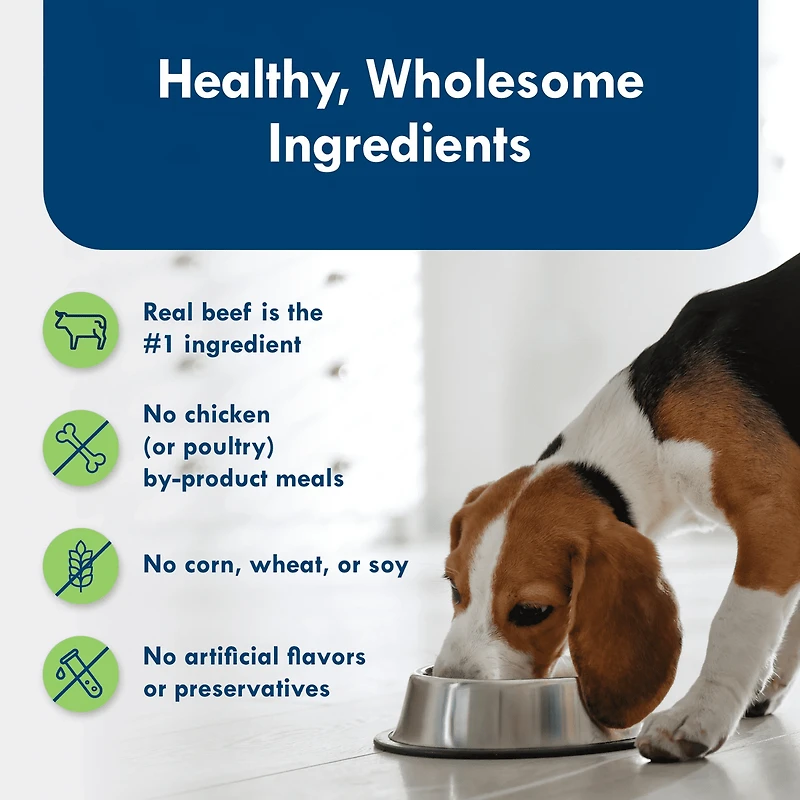 Blue Buffalo Delights Small Breed Wet Dog Food Variety, Filet Mignon & New York Strip 500g