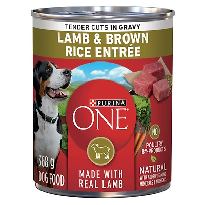 Purina ONE Tender Cuts in Gravy Lamb & Brown Rice Entrée, Wet Dog Food 368 g