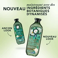 Herbal Essences Scalp + Purify Shampoo, Cleanses The Scalp for Soft Hair, Eucalyptus, Sulfate-Free, 400 mL
