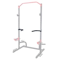 Sunny Health & Fitness Dip Bar Attachment for Power Racks and Cages – SF-XFA002