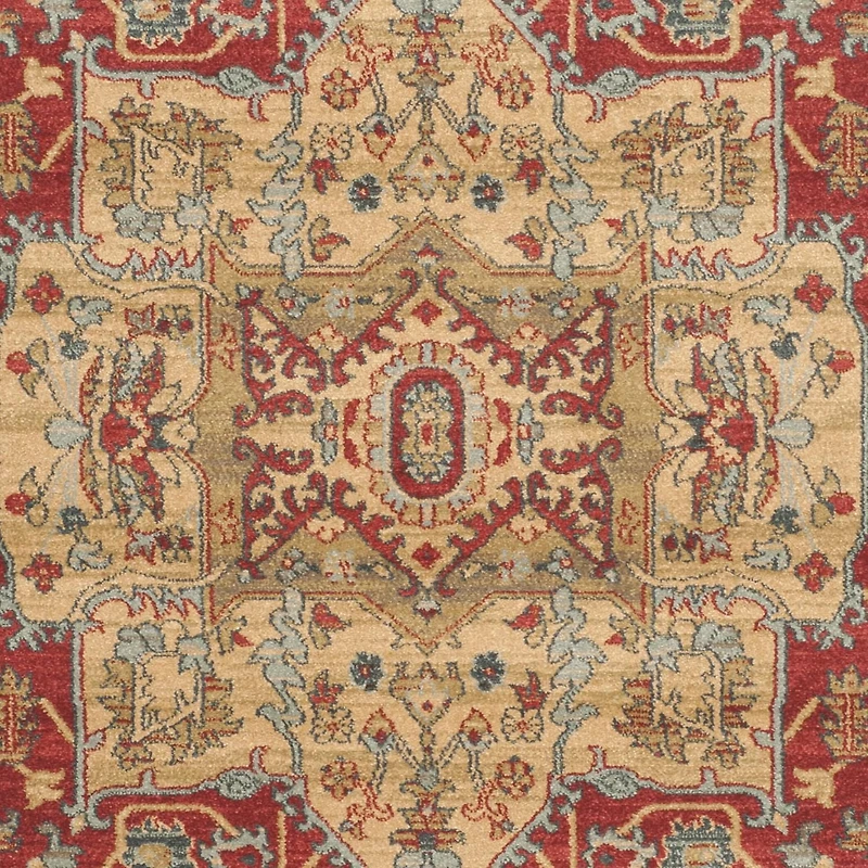 Safavieh Mahal Trecia Tapis Traditionnel