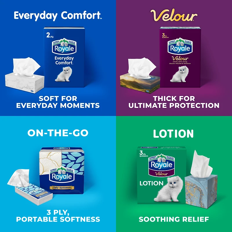 Royale Velour, 3 Ply Facial Tissue, 18 Flat Boxes, 82 Tissues per Box