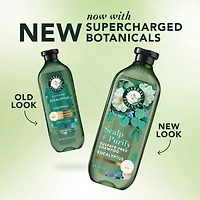 Herbal Essences Scalp + Purify Shampoo, Cleanses The Scalp for Soft Hair, Eucalyptus, Sulfate-Free, 400 mL