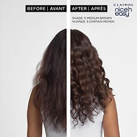 Clairol Nice'n Easy Permanent Hair Dye