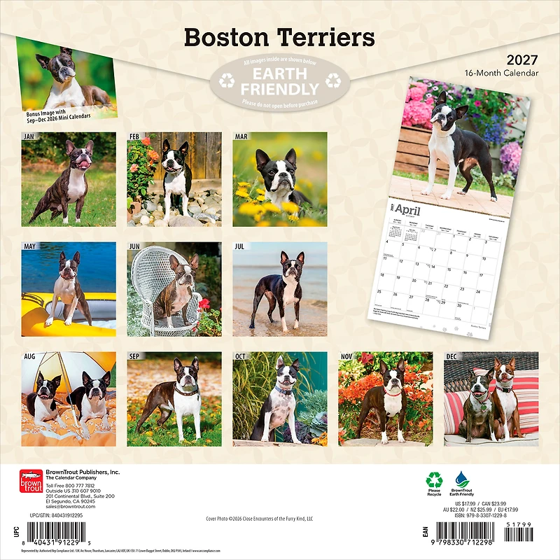Boston Terriers 2027 Square